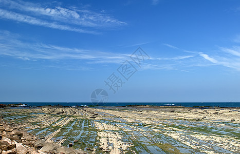 绿岩地和蓝天空海藻石头沿海蓝色荒野地平线苔藓海洋海滩晴天图片