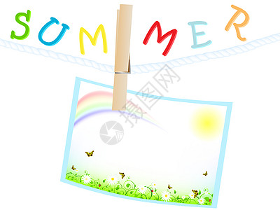夏季夏天夹子插图框架甘菊边界植物蝴蝶叶子瓢虫季节图片