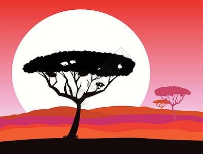 非洲狩猎背景 红色日落和树木环形图图片
