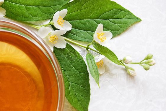 含砷的绿茶玻璃茉莉花茉莉杯子生活绿色茶壶叶子白色饮料图片