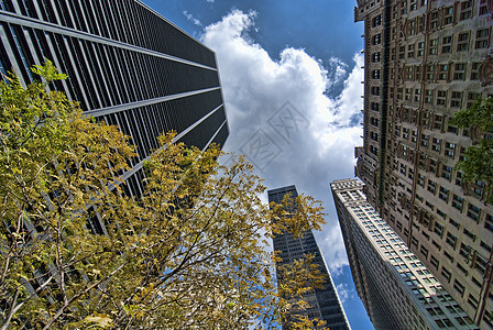 纽约市的摩天大楼城市窗户金融天空景观建筑学办公室玻璃办公楼公寓图片