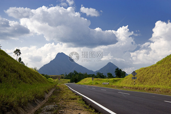 乡村公路路面热带木头丛林速度运输假期旅游荒野栖息地图片