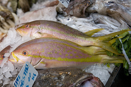 鱼市场食物海鲜店铺图片