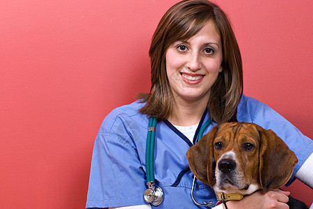 具有 Beagle 的兽医同情博士女孩擦洗护士犬类职业女性医院专家图片
