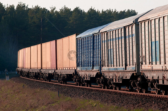 运输柴油列车车辆环境风景货运货柜抛光树木火车水平日光图片