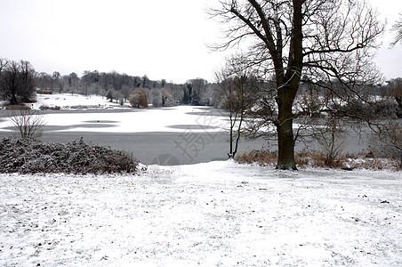 冬季湖反思公园天空降雪天气冻结场景国家季节风景图片