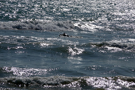 布莱顿人冲浪运动男性行动阳光照射液体休闲海浪海洋运动员潮汐图片