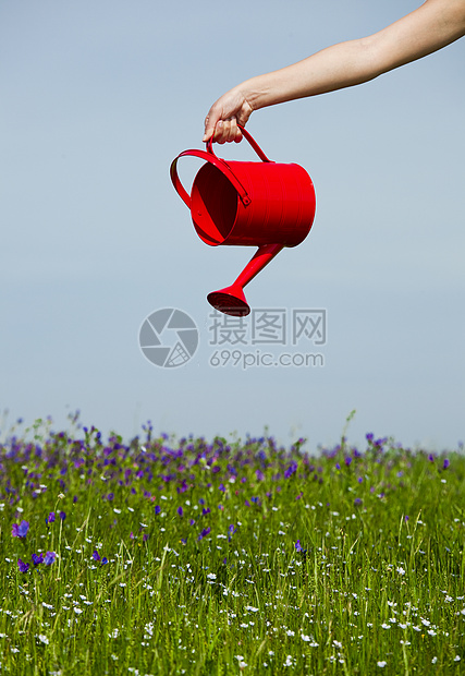 给花浇水青年红色雏菊绿色女性园艺植物群生长草地植物图片