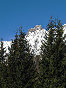 雪峰和冰山图片