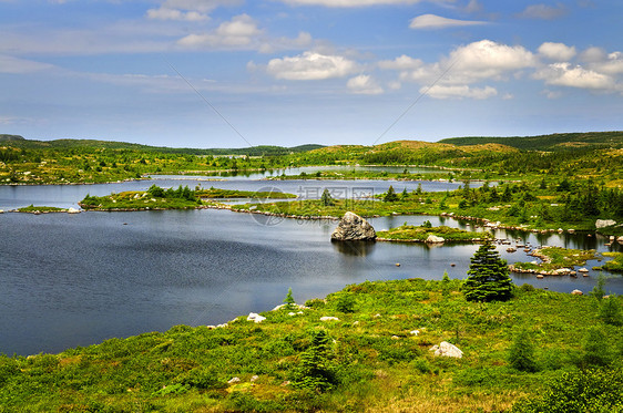 纽芬兰美丽的湖岸边岩石山坡树木爬坡池塘全景丘陵支撑荒野绿色植物图片