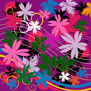 花粉设计卷曲植物叶子漩涡纺织品墙纸插图美丽新作创造力背景图片