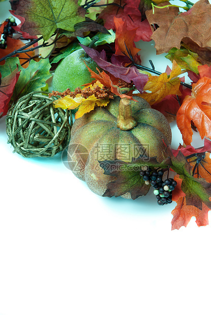 秋季装饰塑料装饰品水果收成感恩绿色食物浆果全景南瓜图片