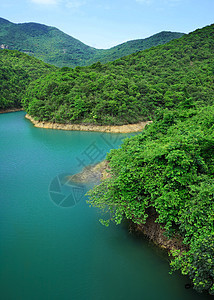 森林中的湖泊风景环境生态石头森林镜子晴天旅行天空木头图片