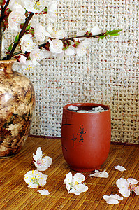 茶加杏花和白茶壶图片