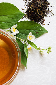 绿茶杯子茉莉花叶子草本植物草本茶壶玻璃茉莉饮料绿色图片