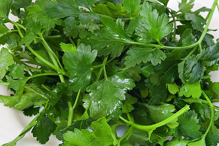 新鲜面纱厨房健康盘子芳香烹饪叶子蔬菜生物香气营养图片