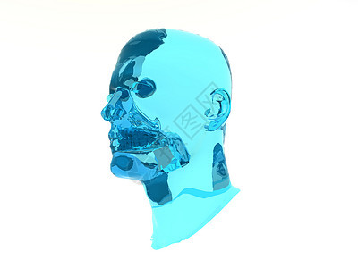 蓝玻璃头生物学耳朵脖子解剖学材料蓝色图片