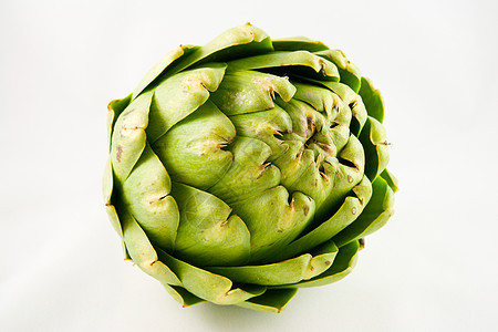 单Artichoke图片