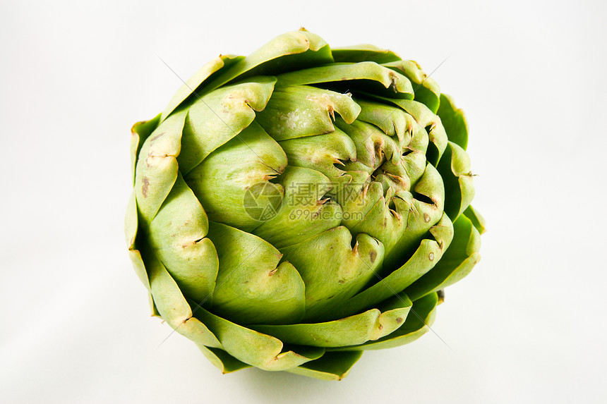 单Artichoke图片