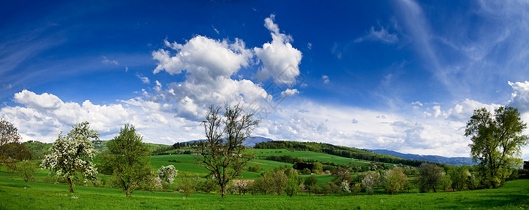 春色  绿地 蓝天空太阳爬坡农场公园土地天空蓝色场景花朵农村图片