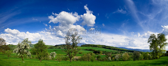 春色  绿地 蓝天空太阳爬坡农场公园土地天空蓝色场景花朵农村图片