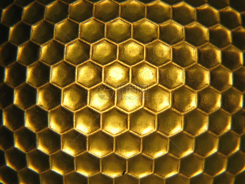 蜜蜂蜂窝蜂巢杂技蜜糖蜂蜜金子高清图片下载-正版图片320304550-摄图网