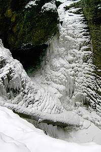 种类一道风景自然下降水冰川雪河流水景浮冰岩石冰柱野生动物图片