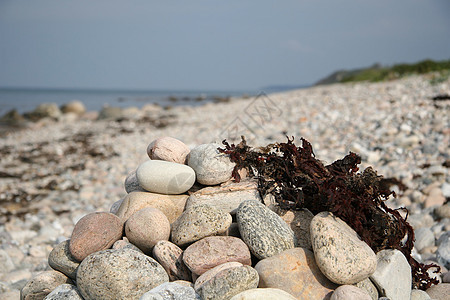 海滩上的石头堆棕色卵石海洋海草岩石石堆背景图片