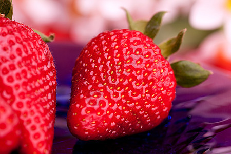 草莓小吃甜点蓝色盘子花园网卡食物浆果环境水果图片