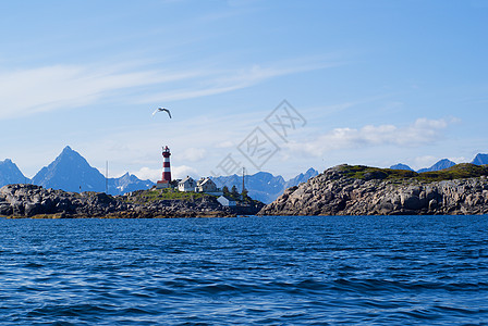 诺瓦吉安岛的灯塔 Skrova海岸线旅游海鸥危险蓝色海湾海洋指导港口图片