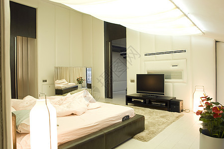 卧室住宅床头板大厦窗户奢华花朵毯子电视白色黑色图片