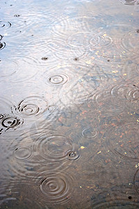 雨滴 水的波纹池塘飞溅液体天气反射环境宏观涟漪戒指沉淀图片