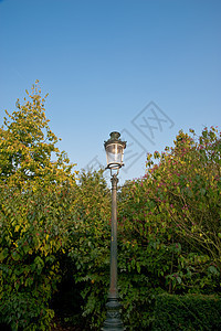 灯光标金属植物天空路灯公园灯笼灯柱图片