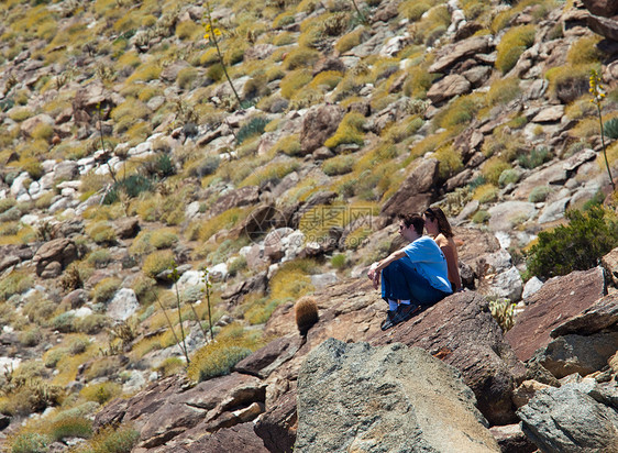 沙漠中的偷渡者看远方的物体男性男人公园夫妻远足者踪迹刷子女士女性树枝图片