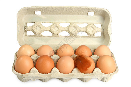 新鲜鸡蛋白色食物杂货盒子农场早餐团体棕色羽毛图片