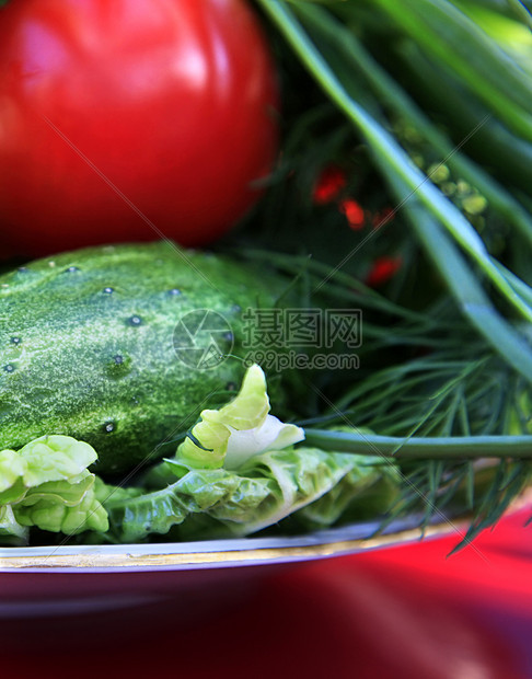 沙拉蔬菜萝卜胡椒花园肉质小麦发酵厨房重量食品种子图片