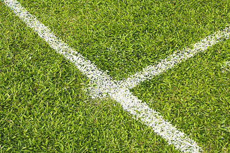 足球球场植物游戏角落草皮竞赛运动课程草地地面天空图片