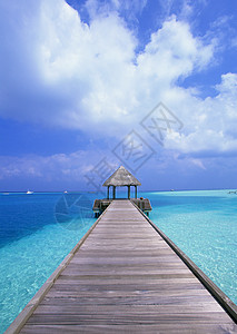 热带热带视图海景海滩背景图片