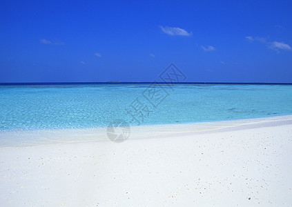 热带热带视图海滩海景背景图片