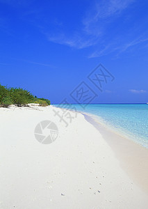 热带热带视图海滩海景背景图片