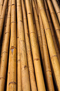 带剪断的竹条模式风格圆形材料建造植物线条装饰黄色木头热带图片