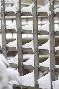 雪花沉积在elllis上图片