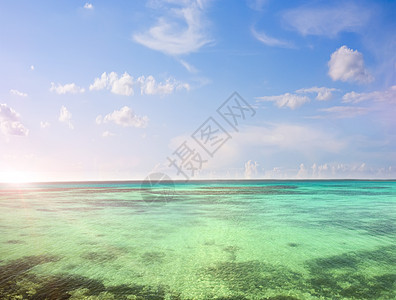 海黎明海岸海浪海景太阳波纹活力阳光运动日落天堂图片