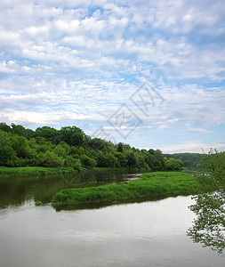 夏季风景 河流反射蓝色场景叶子曲线阳光植物溪流石头天空图片