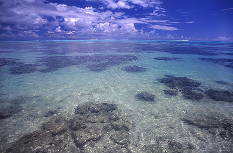 Moorea 湖环保护海景树叶海岸线叶子海浪天堂热带假期旅行图片