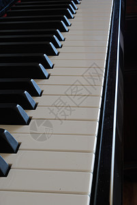 钢琴键音乐家宏观歌曲娱乐白色乌木键盘钥匙象牙线条图片