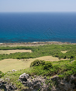 蓝海绿地热带岩石公园支撑阳光场景地平线海岸海洋休息图片