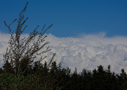 冬冬山天空顶峰场景冰川天际风景全景蓝色星星滑雪图片