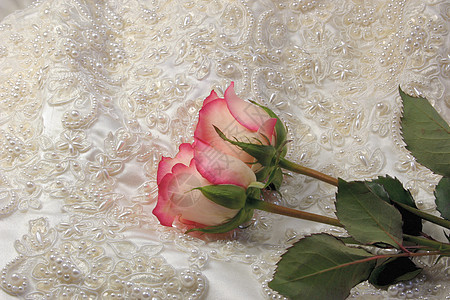 和玫瑰结婚周年已婚光泽庆典裙子花束刺绣珍珠丝绸图片
