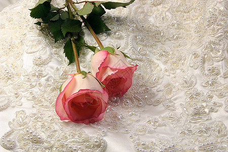 和玫瑰光泽纪念日裙子已婚花束婚姻金子新娘乐队花朵图片